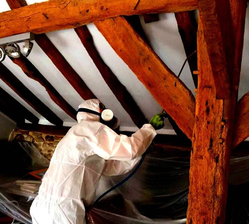 Injection anti-parasites dans le bois de charpente à Pessac