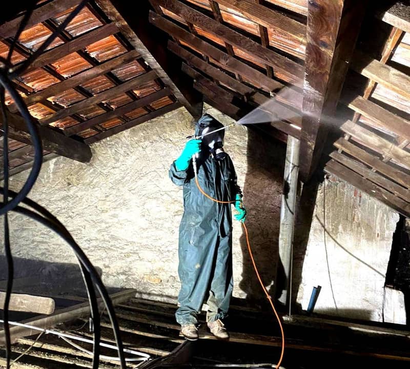 Pulvérisation du traitement anti-insectes sur charpente à Langon