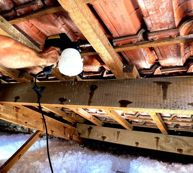 Traitement du bois dans les combles perdus à Talence